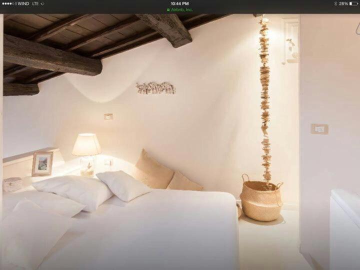 Navona Luxury Penthouse Home 로마 외부 사진